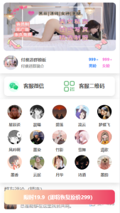 模块布局-模板数据一键导入-通用模板-不鸽宏迪v3Pro主题官网